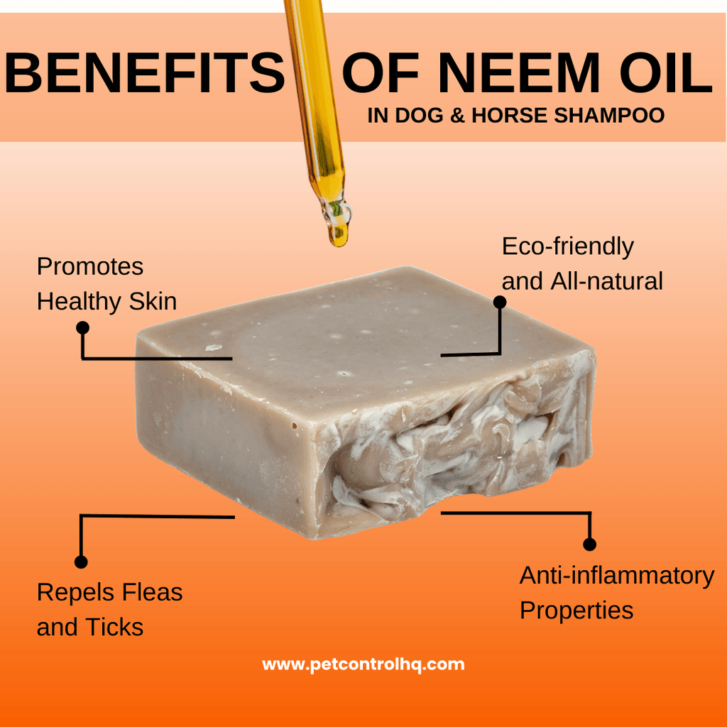 Say Goodbye to Itchy Skin: The Benefits of Neem Oil in Dog Shampoo - Pet Control HQ
