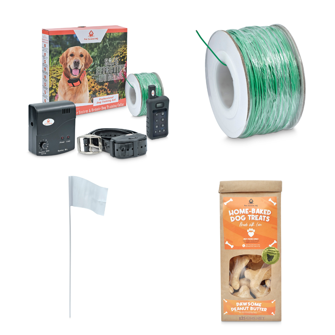 Plastic training collar hot sale