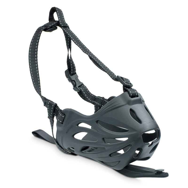 large dog muzzle