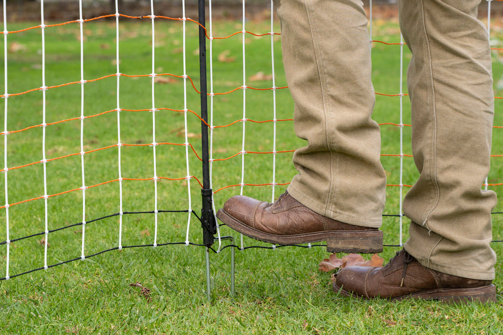 Keeping Animals In or Out – Choosing the Right Fence Setup