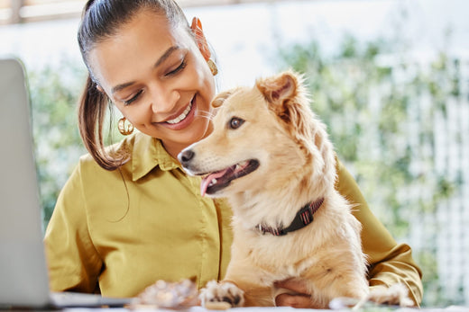 The Rise of Pet Tech: Gadgets Enhancing Pet Safety and Training