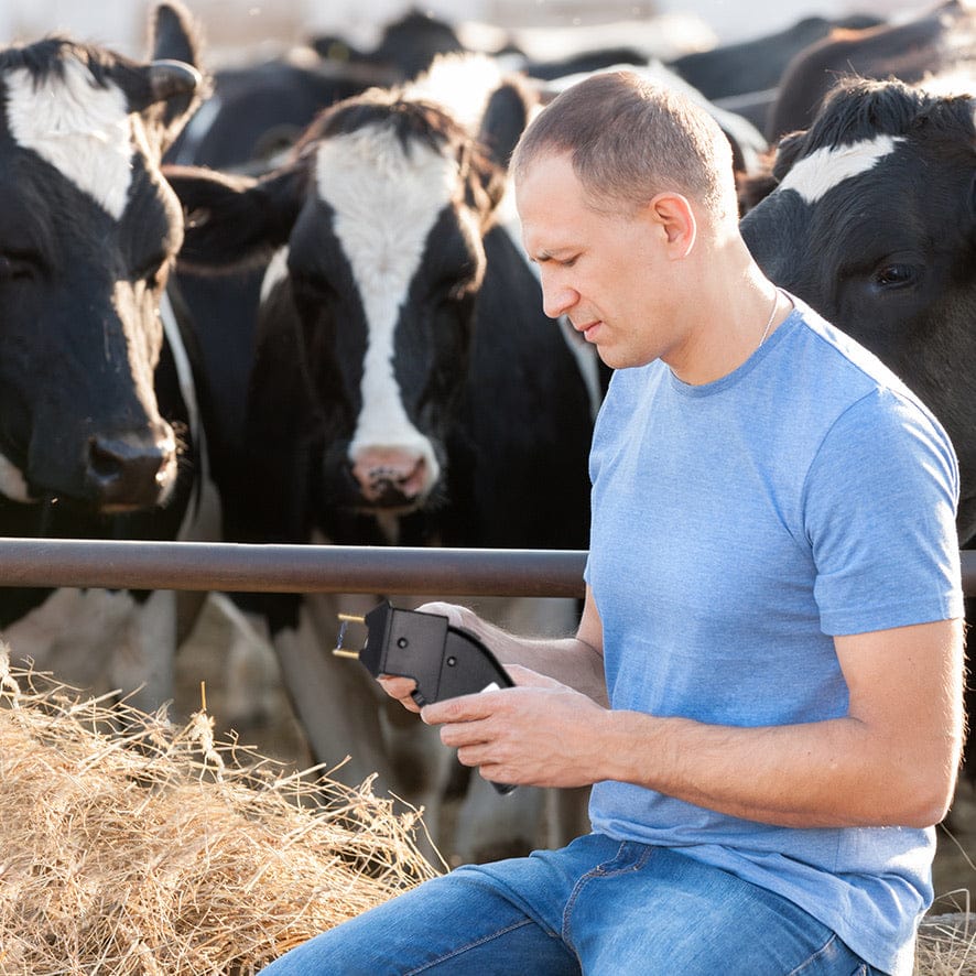 USA Guide: Are Cattle Prods Legal?