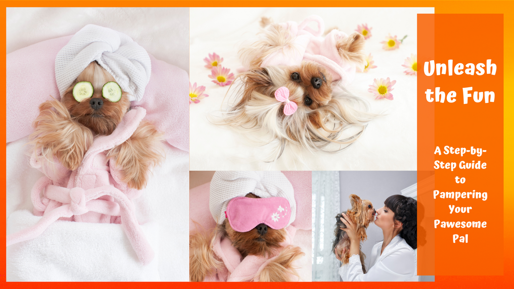 Unleash the Fun: A Step-by-Step Guide to Pampering Your Pawesome Pal