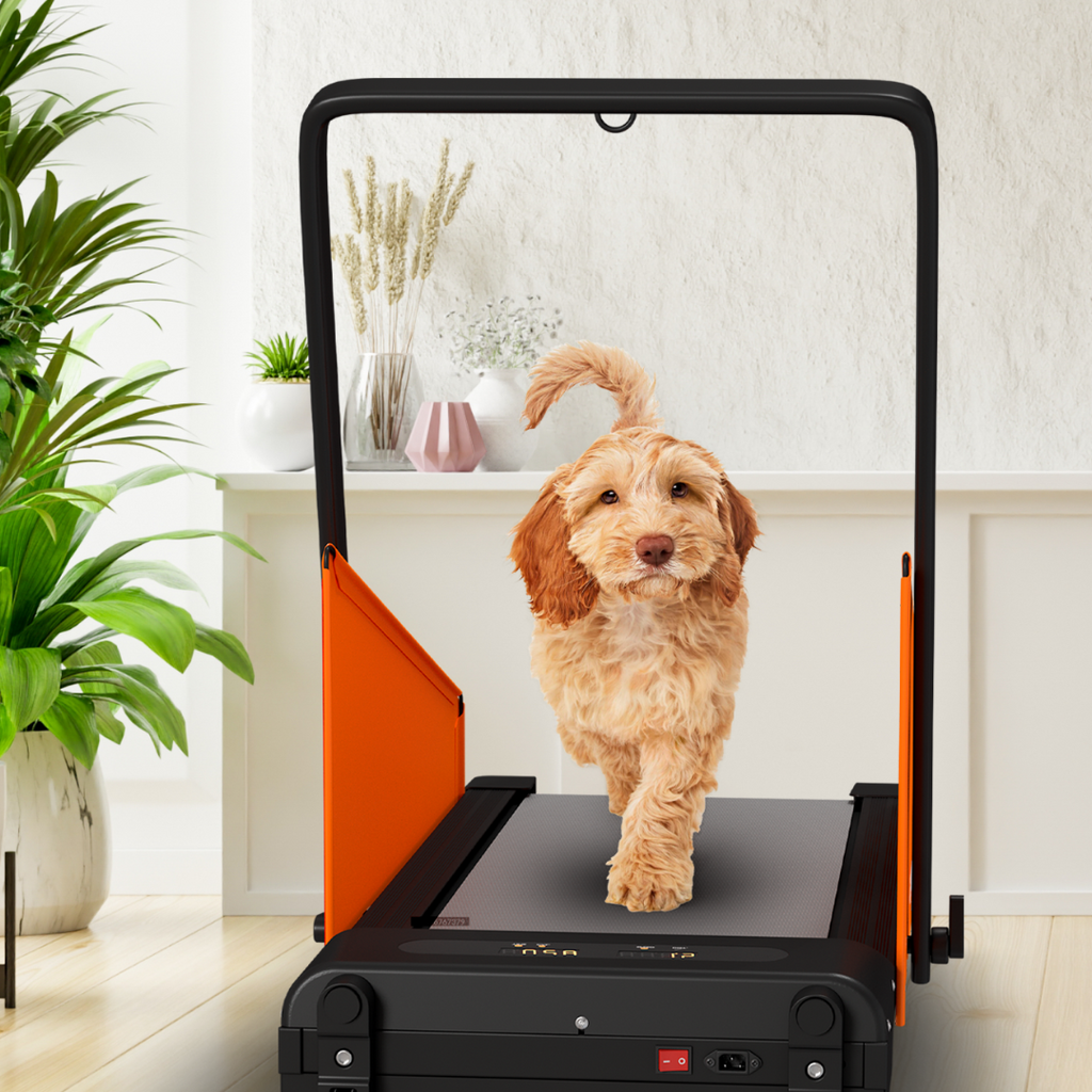 Prodder Handheld Battery Electric Cattle Prodder | Buy Now | Pet Control HQ