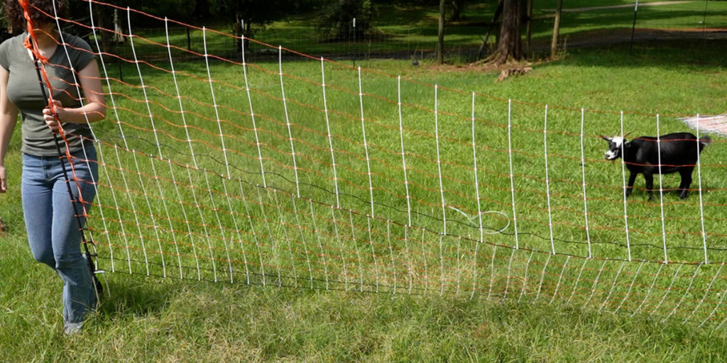 The Best Electric Fencing Setup for Poultry, Goats, and Sheep (Plus Easy Layout Examples)