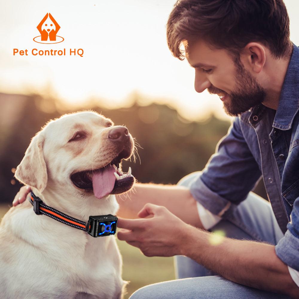 Guide To Using A Citronella Anti-Bark Collar - Pet Control HQ