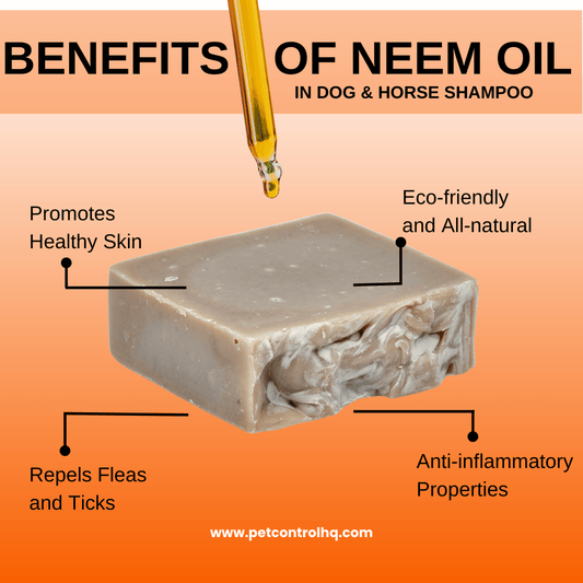 Say Goodbye to Itchy Skin: The Benefits of Neem Oil in Dog Shampoo - Pet Control HQ