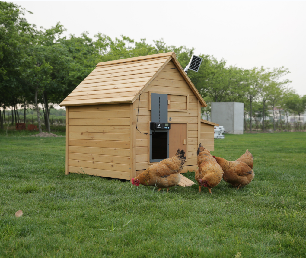 Chicken Essentials