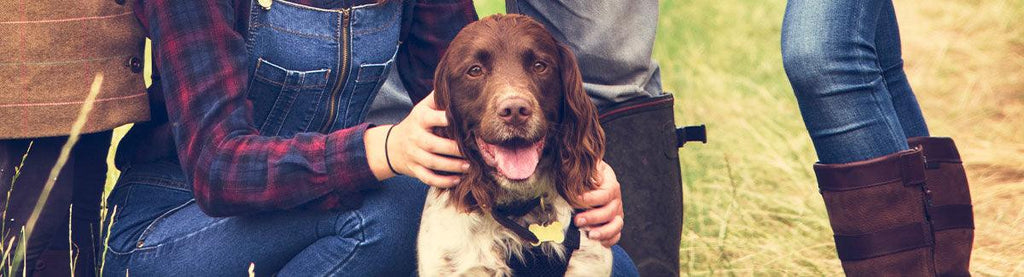 Home page - Pet Control HQ