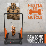 motorized dog treadmill