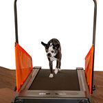 motorized dog treadmill