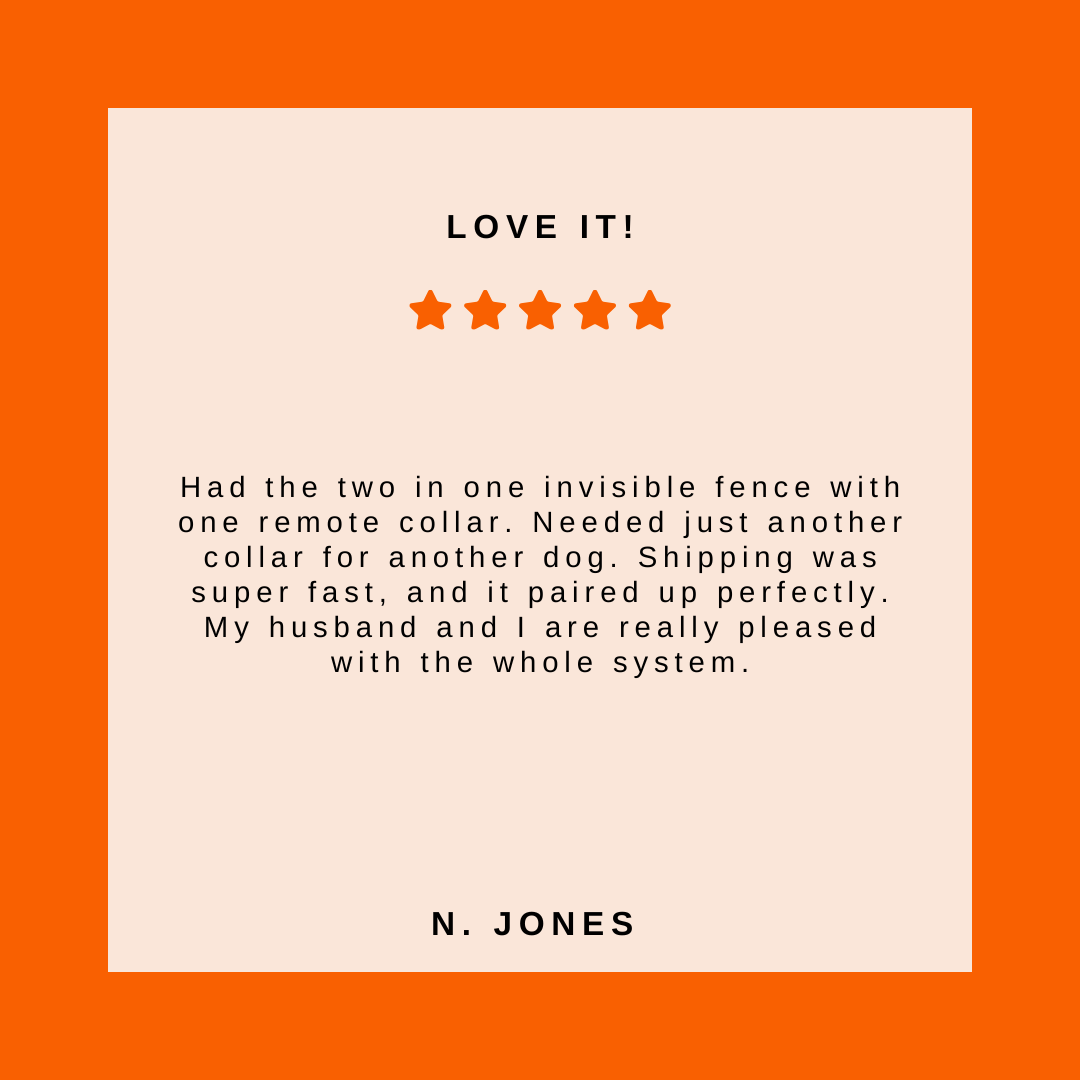 Shock collar for 2024 husband