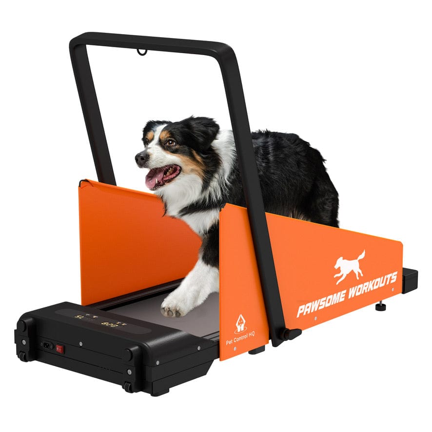 Motorised Dog Treadmill Adjustable Foldable Pet Control HQ
