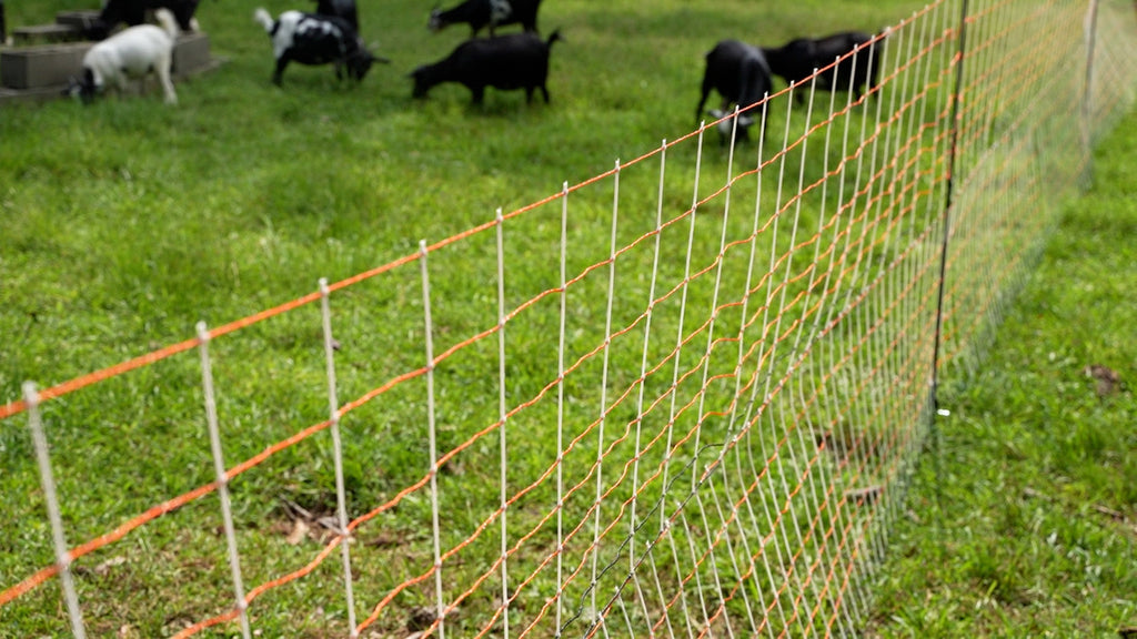 complete solar electric fence solution energiser netting fence kit