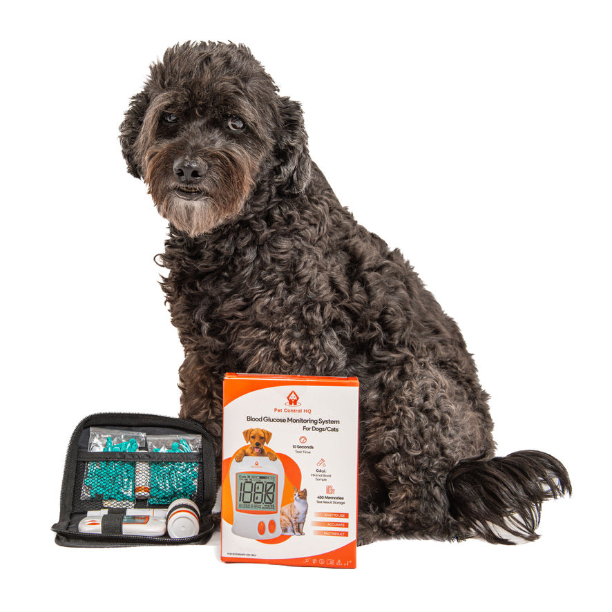 Pet Glucose Meter Kit Diabetes Insulin Monitoring for Pets