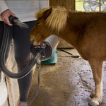 professional horse grooming hairdryer blower 2800w