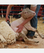 380w new electric sheep shearing clippers shears