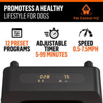 motorized dog treadmill