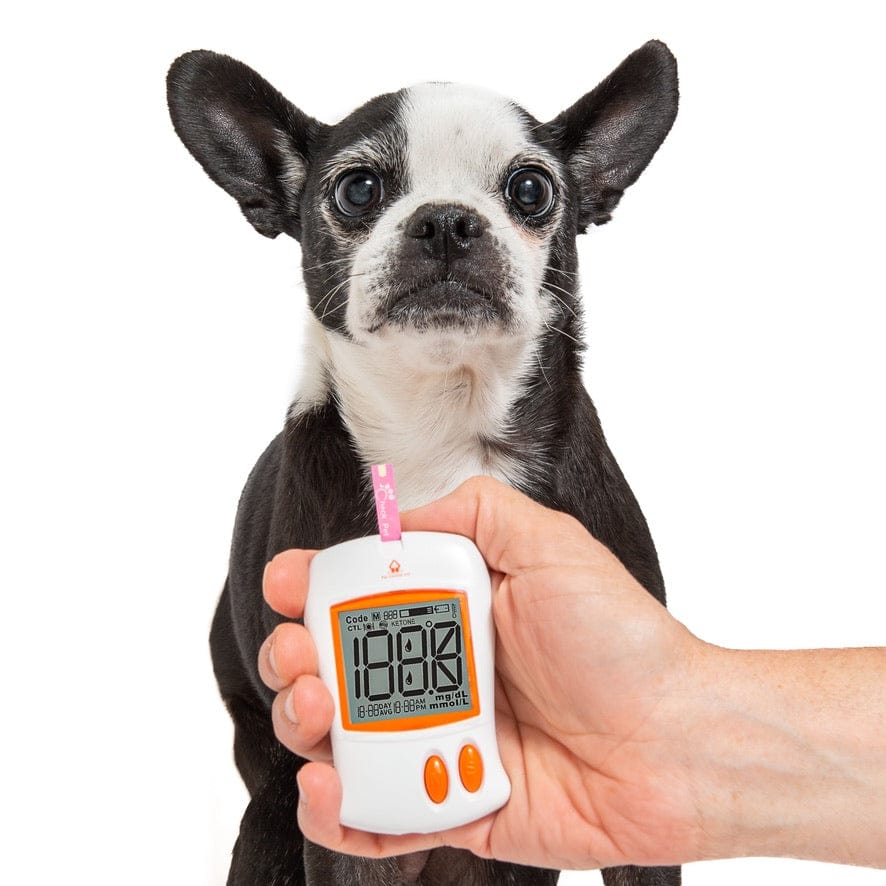 Hypoglycemia Nonprofit Diabetic Alert Dogs Pet Glucose Meter Kit