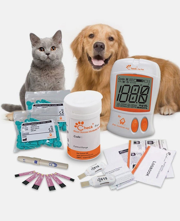 Blood Glucose Meter