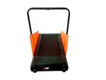 motorized dog treadmill