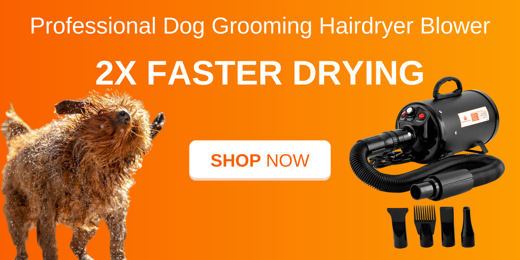 2x Faster Drying - Shop Now