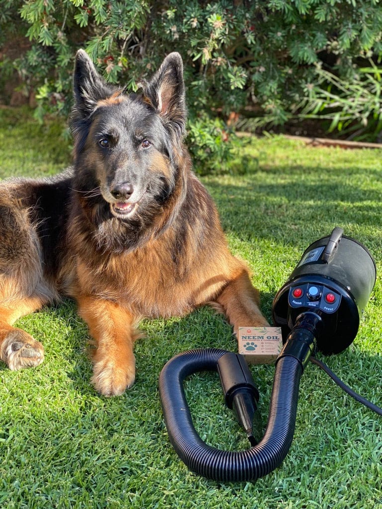 Pet Supplies Kelly's Mobile Grooming How To Become A Dog