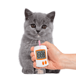 kitten with a glucose meter for pet diabetes management