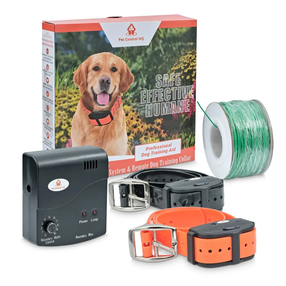 How to use electric dog collar hotsell