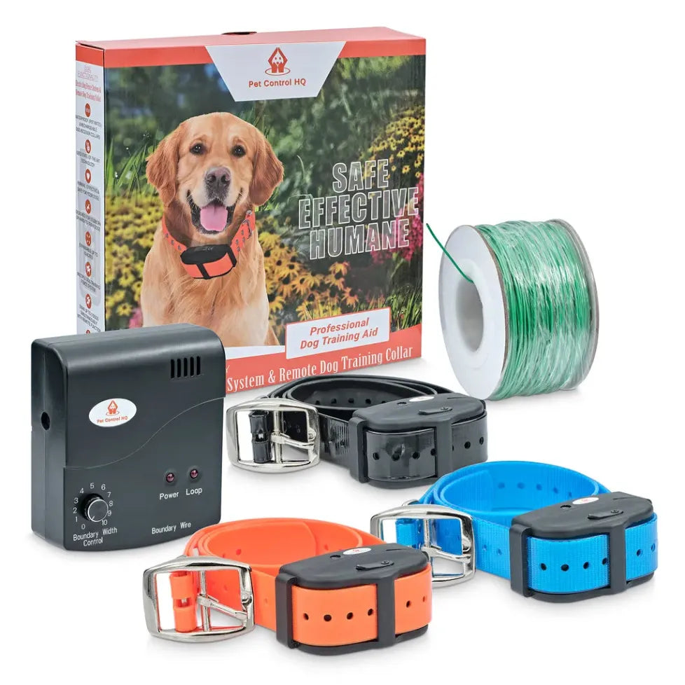 Dog shock collar and fence outlet