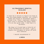 Ultrasonic Dog Dental Scaler - Teeth Cleaning & Plaque Remover