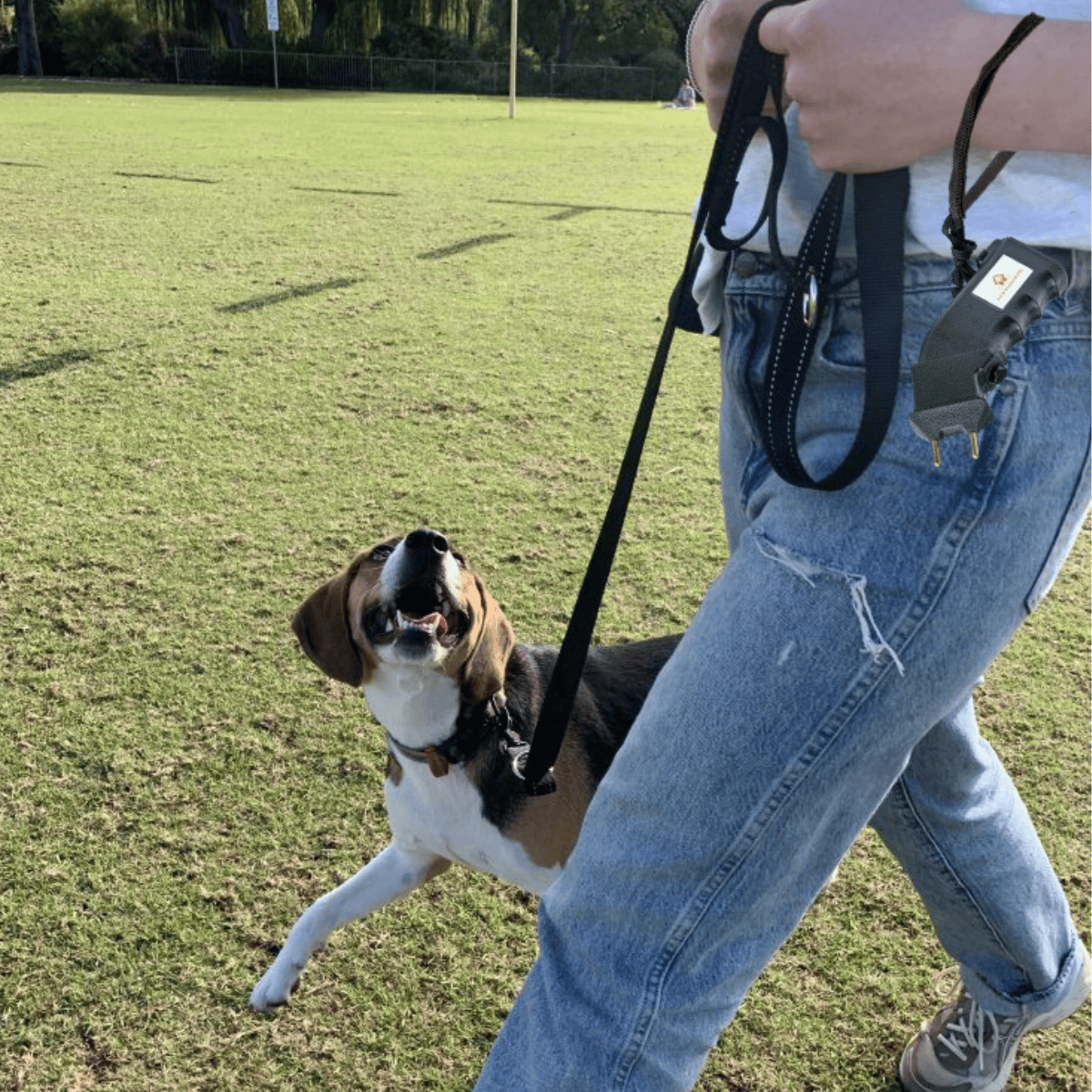 Prodder Protection Prodder Against Aggressive Dogs | Pet Control HQ
