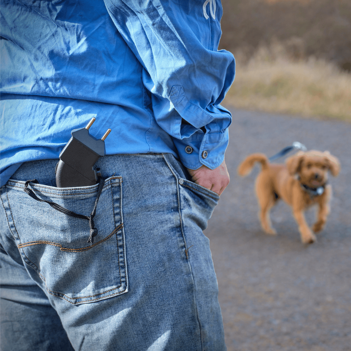 Protection Prodder Against Aggressive Dogs | Pet Control HQ