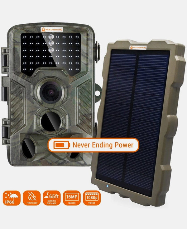 Trail Camera