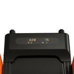 motorized dog treadmill