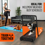 motorized dog treadmill