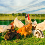 complete solar electric fence solution energiser netting fence kit