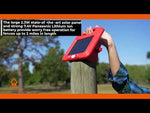 Solar Electric Fence Kit - Energiser, Netting Fence & Warning Signs