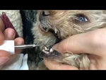 Ultrasonic Dog Dental Scaler - Teeth Cleaning & Plaque Remover