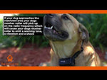 Electric Dog Fence Rechargeable up to 3 Shock Collar Options - Heavy Duty Wire