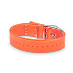 combo electric dog fence remote training collar