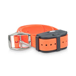combo electric dog fence remote training collar