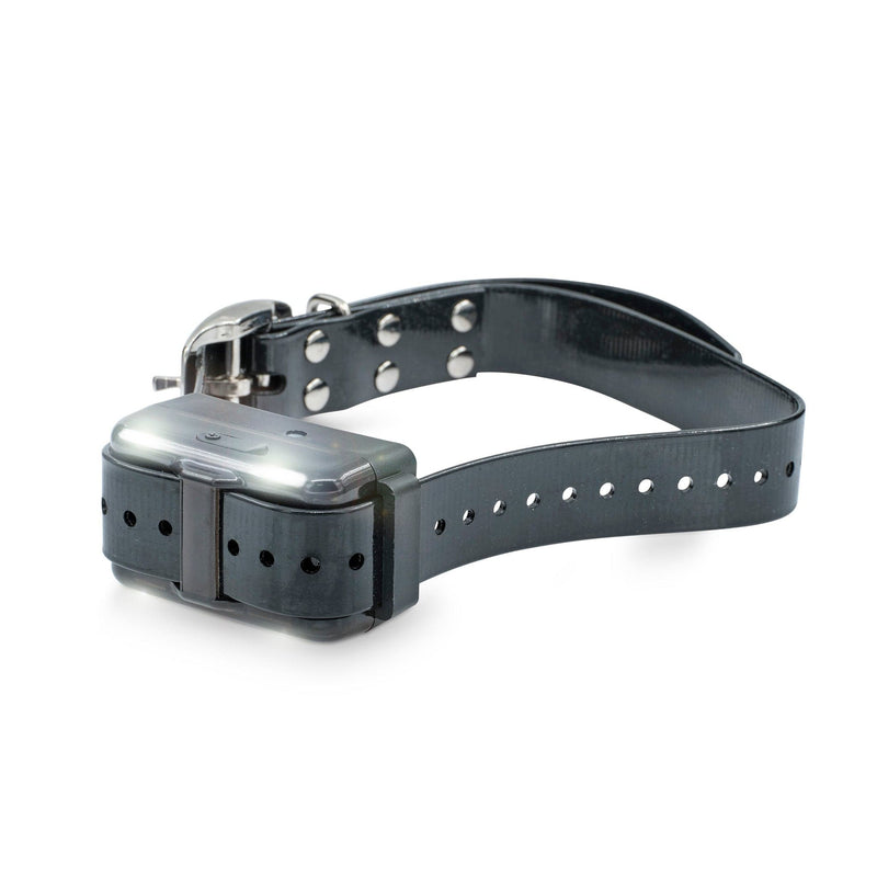 pet control hq extra collar for remote hunting dog trainer