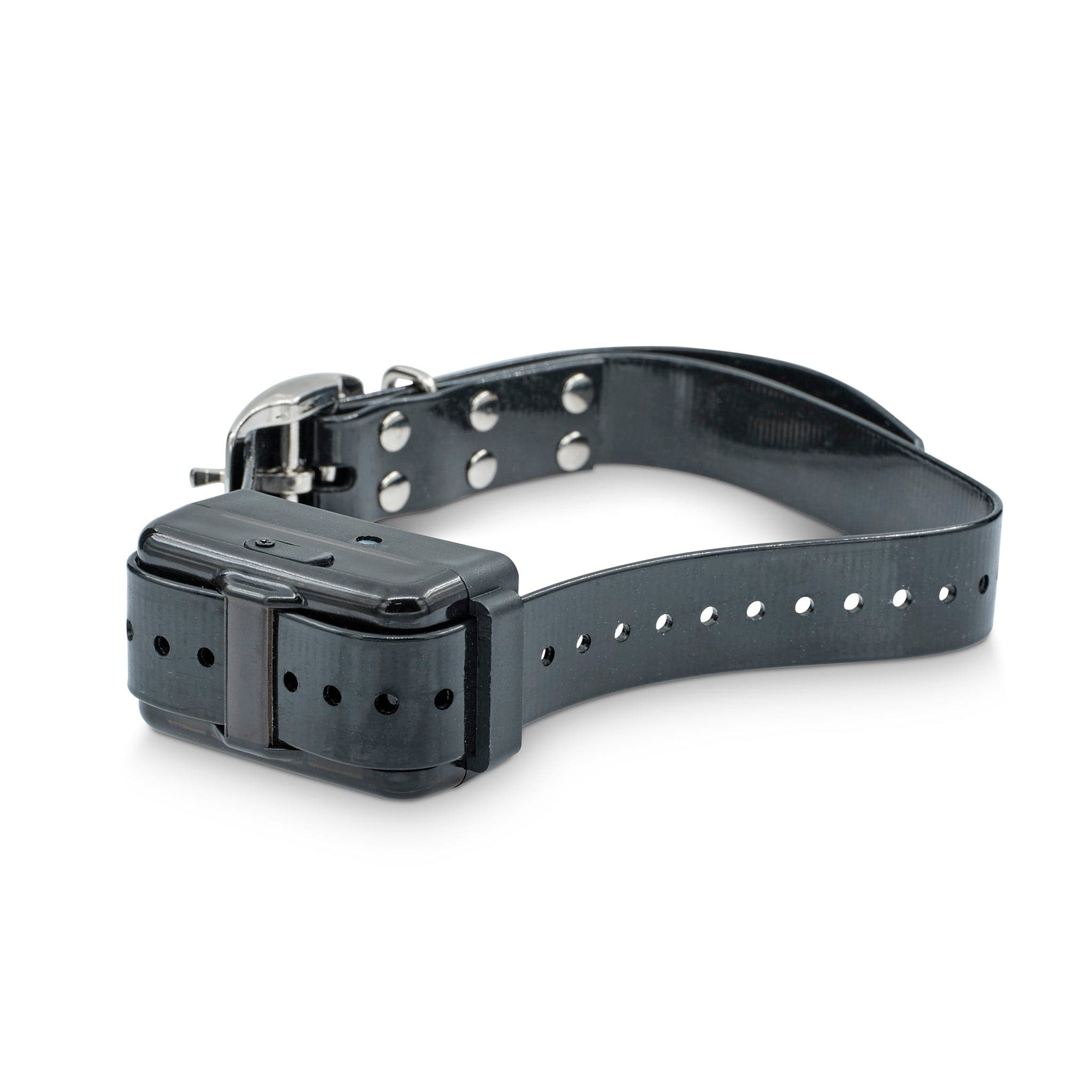 Extra Shock Collar for Remote Dog Training System Shop Now