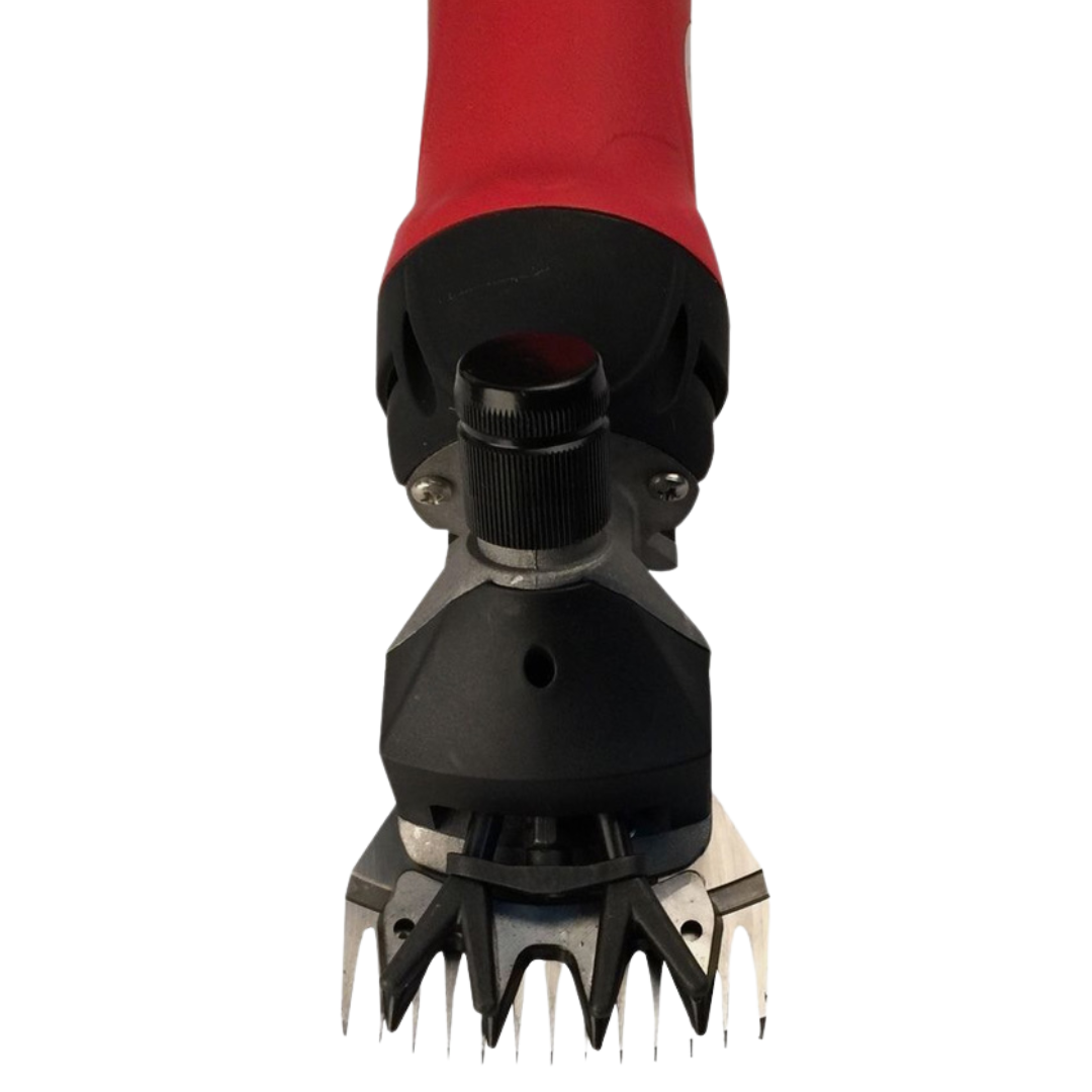 Sheep shears for clearance poodles