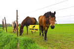 electric fence warning signs pack of 5