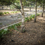 polytape electric fence