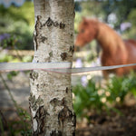 polytape electric fence