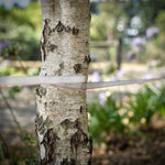 polytape electric fence