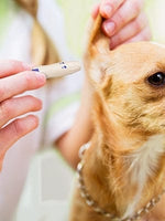 blood glucose meter monitor dog cat diabetes